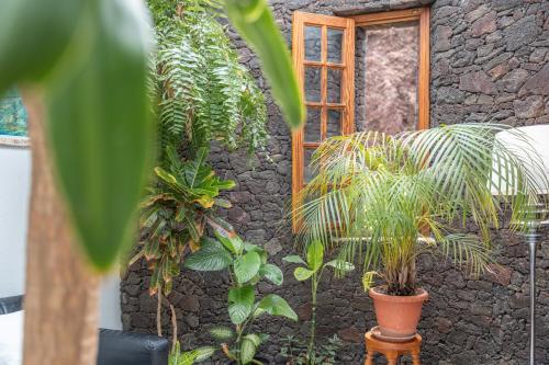 a building with plants in front of a window at Casa Rosi in Frontera