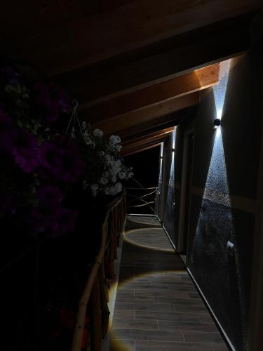 a dark hallway with flowers on the side of a building at Velaj Guest House in Cfir