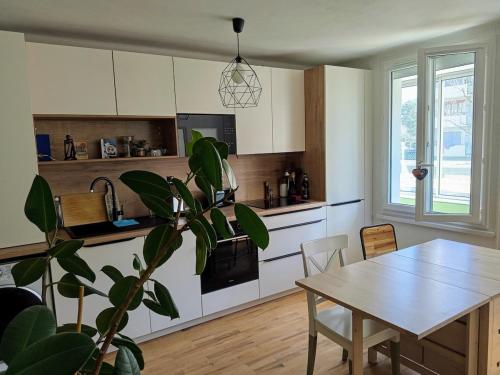 Appartement cozy au coeur d' Annecy في أنِسي: مطبخ مع طاوله ومصنع في الغرفه
