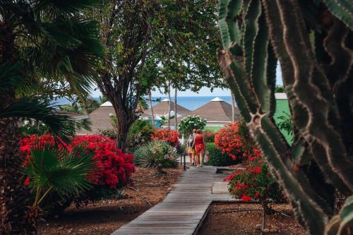 two people walking down a wooden walkway through a garden at Chogogo Dive & Beach Resort Curaçao in Jan Thiel
