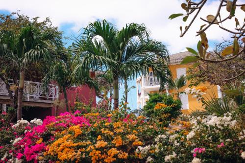 a garden of flowers in front of a building at Chogogo Dive & Beach Resort Curaçao in Jan Thiel