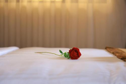 Imagen de la galería de Dancourt Funfair Hotel, en Thika