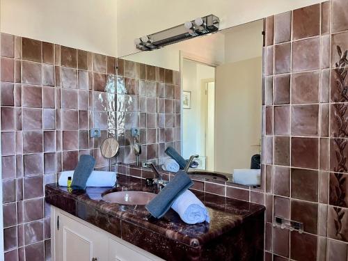 une salle de bain avec un lavabo et un miroir dans l'établissement Les CAMELIAS, à Antibes