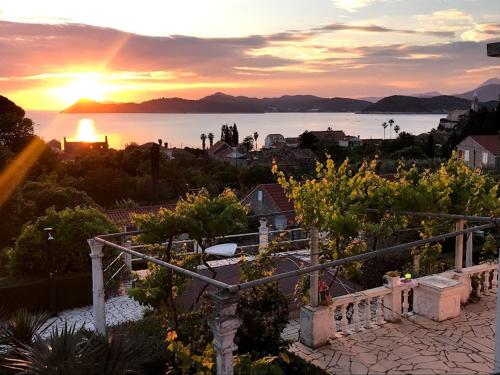 Family apartments Dominković