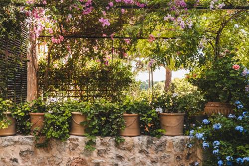 Κήπος έξω από το Oliver Moragues Grandhouse & Vineyard
