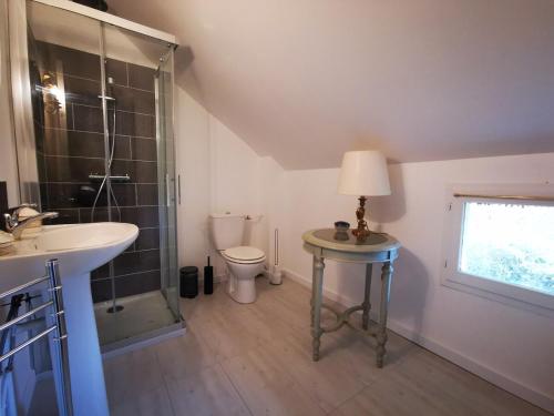 une salle de bain avec une douche, un lavabo et des toilettes dans l'établissement Maison 10 min circuit du mans, à Voivres-lès-le-Mans