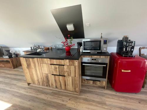 La cuisine est équipée d'un four micro-ondes et d'un réfrigérateur rouge. dans l'établissement Le repaire des trois singes, à Brésilley