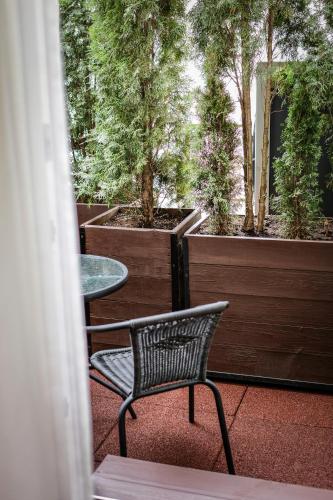 a patio with a chair and a table and trees at Agneta Apartamentai in Druskininkai