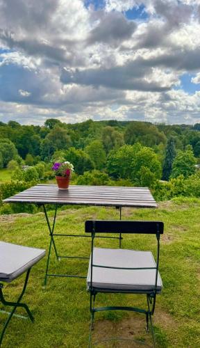 a picnic table with two chairs and a flower pot on it at Weitblick Buckow in Buckow