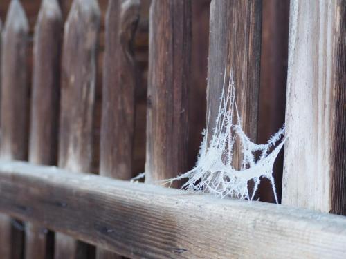 Gambar di galeri bagi Ferienhaus Dahoam di Auffach