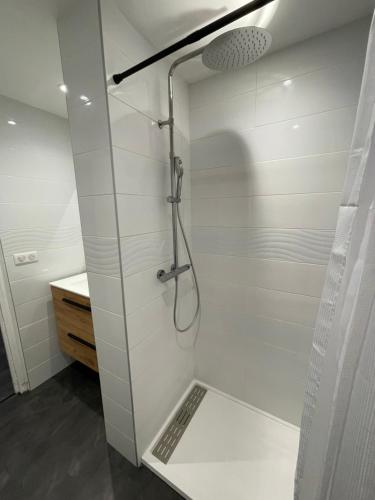 une douche avec une porte vitrée dans une salle de bain dans l'établissement Vue sur les montagnes au frais, à Romans-sur-Isère