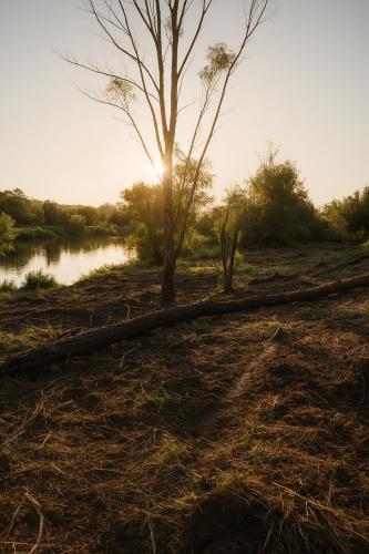 ein Baum, der neben einem Fluss auf dem Boden liegt in der Unterkunft Lake side Caravan site - 1500 square meters of nature & private fishing in Port Edward