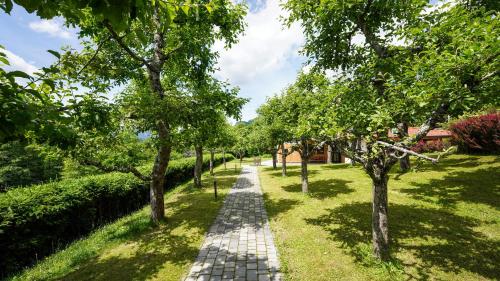 a path through a garden with trees on either side at Hiša na Hribu- A Peaceful Hilltop Escape above river Kolpa in Kostel