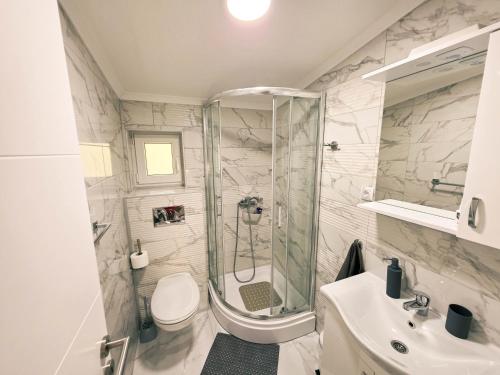 a bathroom with a shower and a toilet and a sink at Fruška Kuća in Vrdnik
