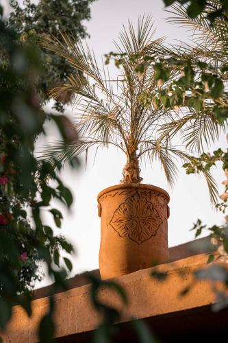 a plant in a pot sitting on top of a fence at Villa Sidi Oasis in Marrakech