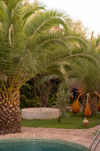 a palm tree and a swimming pool in a yard at Villa Sidi Oasis in Marrakech