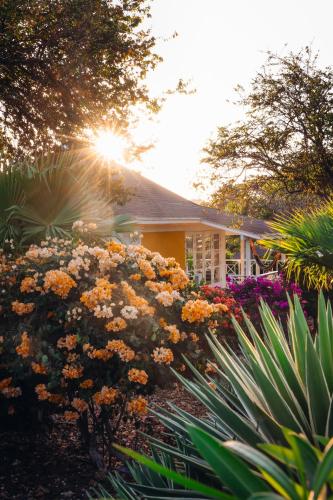 Chogogo Dive & Beach Resort Curaçao