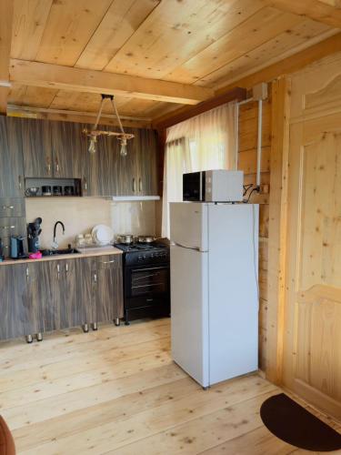 Una cocina o cocineta en Sabauri