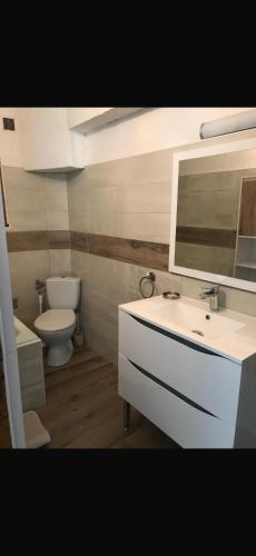une salle de bain avec un lavabo blanc et des toilettes dans l'établissement Ancelle le plantier, à Ancelle