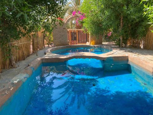 einen Pool mit blauem Wasser im Hinterhof in der Unterkunft Siwa Gardenia Cottage اكواخ سيوة جاردينيا in Siwa