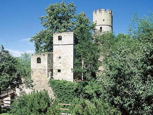 an old castle with two towers on top of trees at Ritterschänke in Essing