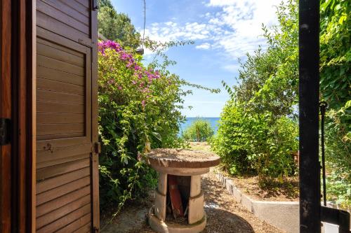 a bird bath sitting outside of a house at Casa Paola in Moneglia