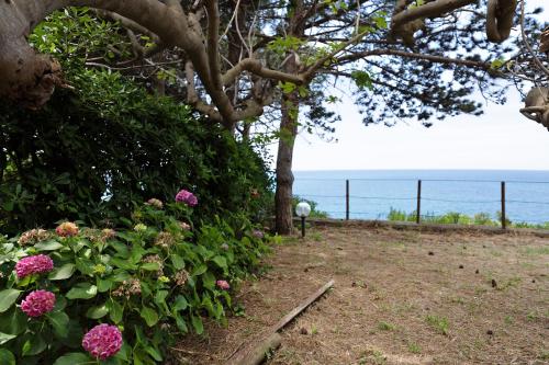 a garden with flowers and a tree and the ocean at Casa Paola in Moneglia