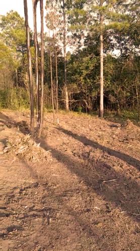 eine unbefestigte Straße mit Bäumen an der Seite in der Unterkunft Lake side Caravan site - 1500 square meters of nature & private fishing in Port Edward