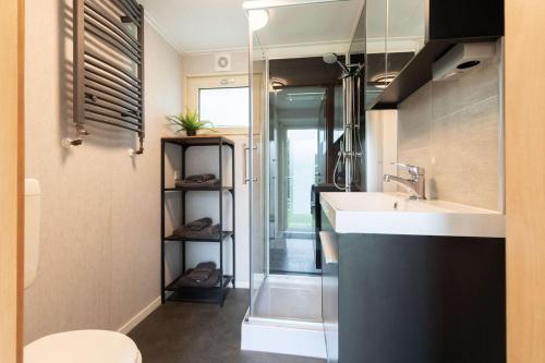 a bathroom with a sink and a toilet at Peaceful chalet with free parking and bikes in Putten