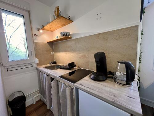 une petite cuisine avec un comptoir et un évier dans l'établissement Le Jungle - Rivière - 4 Pers - Rêve au Mans, au Mans