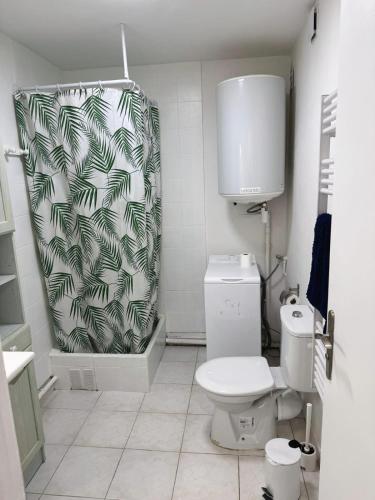La salle de bains est pourvue de toilettes et d'un rideau de douche vert et blanc. dans l'établissement Appartement tout équipé à coté de la Timone Marseille, à Marseille