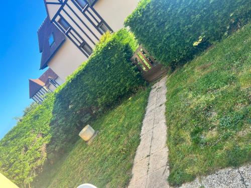Κήπος έξω από το Studio proche mer avec jardin