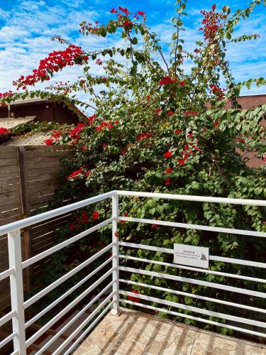 a white fence next to a bush of red flowers at Pousada Brunetti in Penha