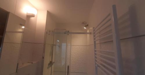 a bathroom with a shower with a glass door at Jardin de plantes centre-ville résidential Botanical garden residential down-town in Le Mans