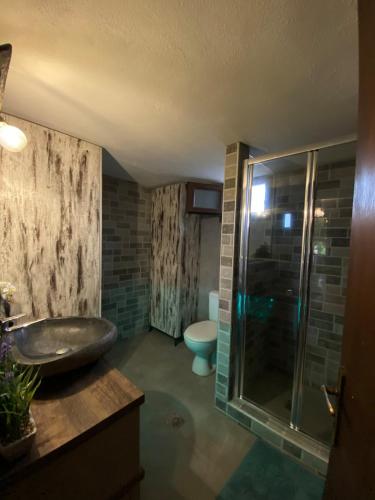 a bathroom with a sink and a shower and a toilet at Rizospito in Palaiokhóra