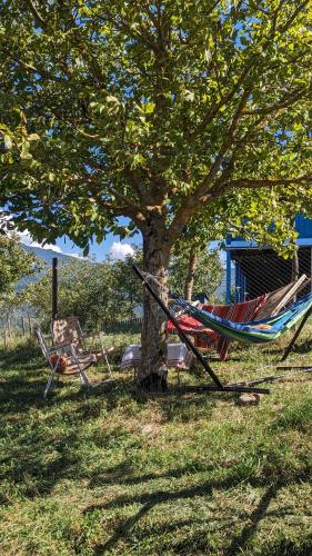 a hammock and a chair next to a tree at Mountaintop hostel apartments - Hostel Kvish^Khedi in K'vishkhet'i