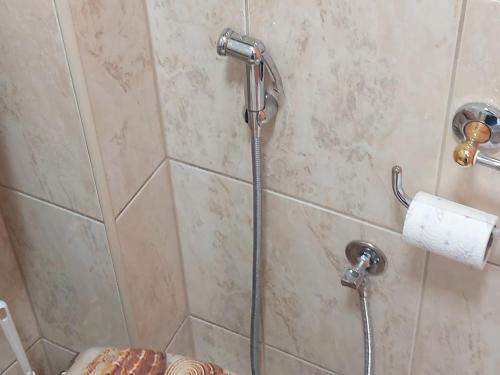 a shower in a bathroom with a toilet at 3-Bedroom Residence - Prime Location with City View and Parking in Sarajevo