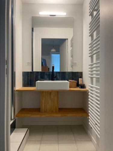 une salle de bain avec un lavabo et un miroir dans l'établissement Petit gîte cosy proche de la mer, jardin privatif, à Clohars-Fouesnant