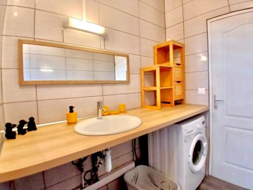 Un baño con lavabo y lavadora. en Villa Charmante, Détente, Jacuzzi aux Avirons, en Les Avirons