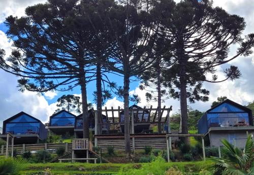 a house with a tree and some blue houses at Cappio Pousada e Lazer in Bento Gonçalves