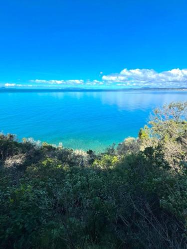 a view of a large body of water at Agriturismo Camera dei ladri in Marsiliana
