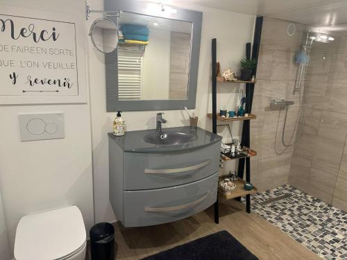 une salle de bain avec un lavabo et une douche dans l'établissement Maison Changrila, à Chennevières-sur-Marne