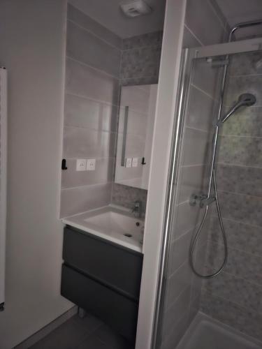 une salle de bain avec un lavabo et une douche dans l'établissement Chambre proche gare et hôpital, à Vannes