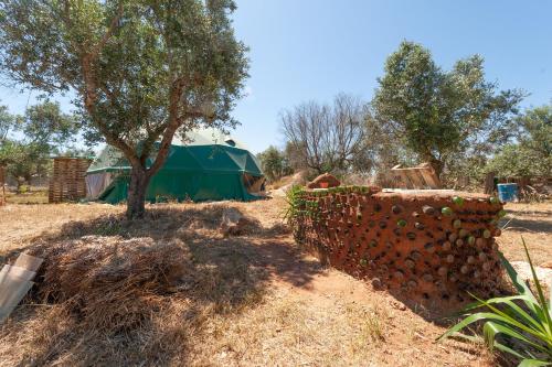 a green tent and a tree and a brick wall at Sprocketlandia in Frigole