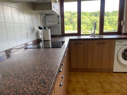 a kitchen with a sink and a washing machine at Dacarreda in Villamayor