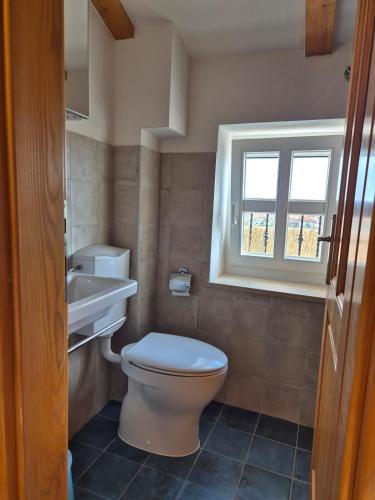 a bathroom with a toilet and a sink and a window at Akvamarin Stone House Istria in Medulin