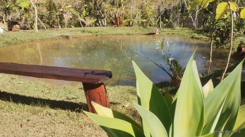 a wooden bench sitting next to a pond at Camping e pousada dos sonhos in Carvalhos