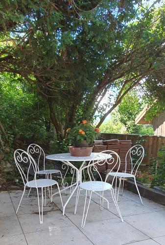 a table and chairs with a potted plant on a patio at le home du Morel et son jacuzzi in Bellecombe
