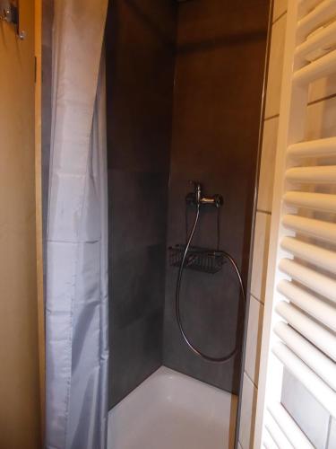 a shower with a shower curtain in a bathroom at Haus am Rotwiesenbach in Todtnau