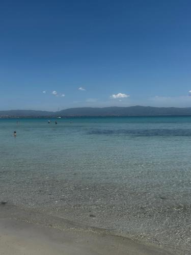 a large body of water with people swimming in it at Blue Orchid Apartment, IUN S8460 in Quartu SantʼElena